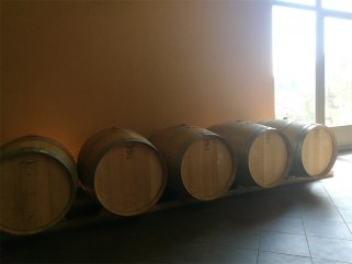 想做紅酒生意怎麽入手較好