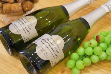 國產紅酒国产AV午夜福利排行